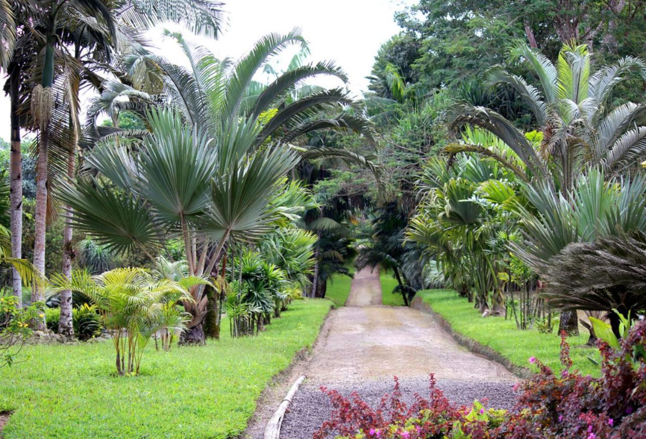 Bnb Tropical Island Aparthotel - Corales Del Sur - Santo Domingo Este Exterior foto